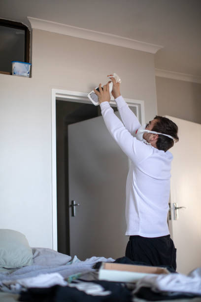 Best Mold Removal for HVAC Installations  in Plainfield Village, CT