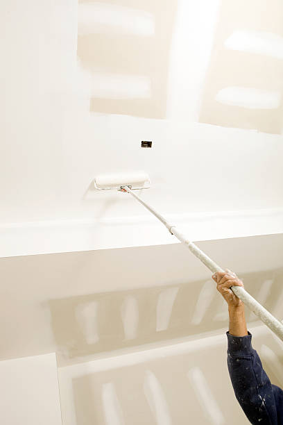 Best Emergency Mold Remediation  in Plainfield Village, CT