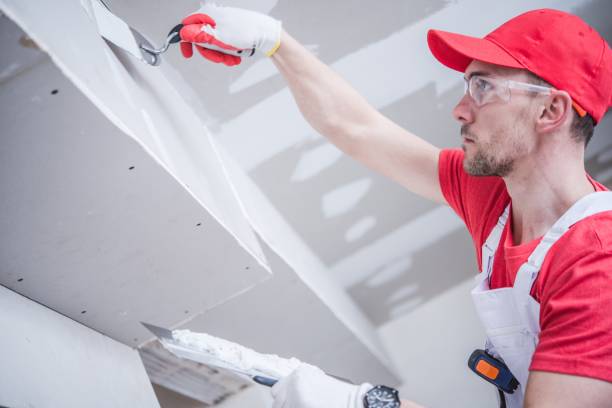 Best Forensic Mold Investigation  in Plainfield Village, CT